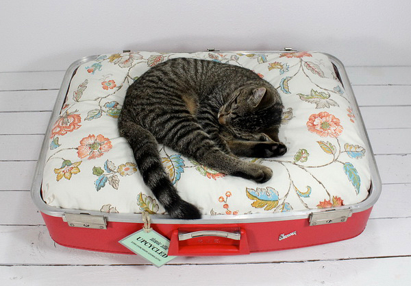червен куфар легло за котка